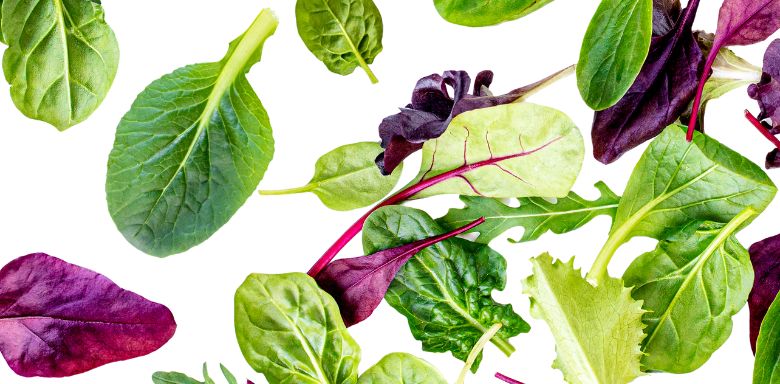 A variety of leafy green vegetables.
