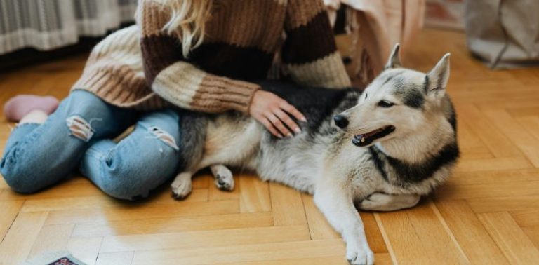 A woman sitting on the floor with her pet dog.