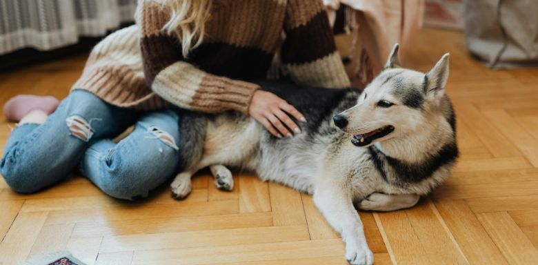 A woman sitting on the floor with her pet dog.